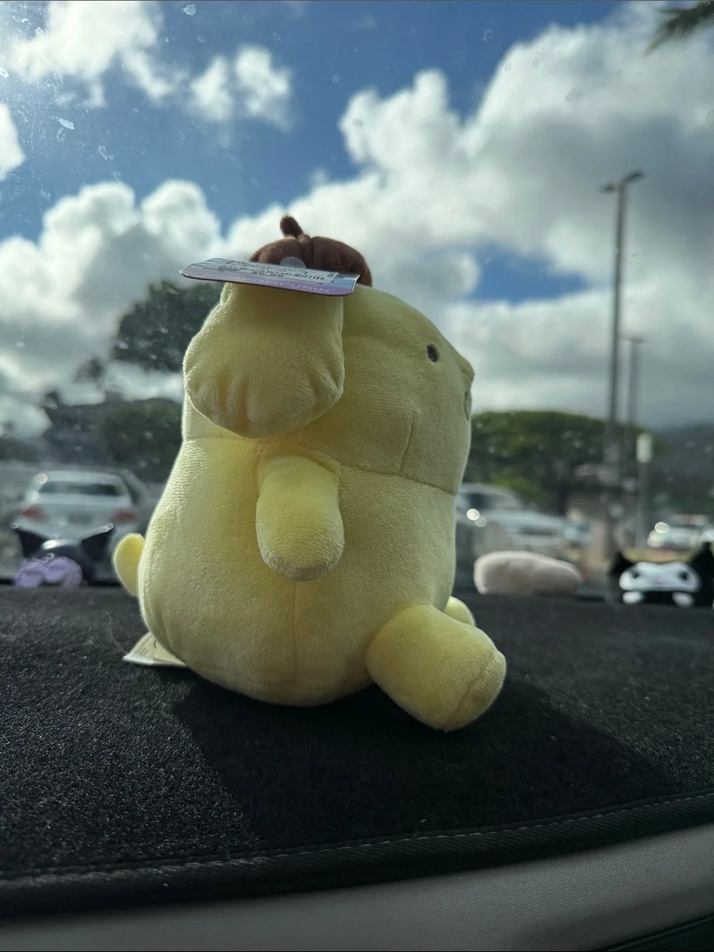 Pompompurin (Hello Kitty and Friends)